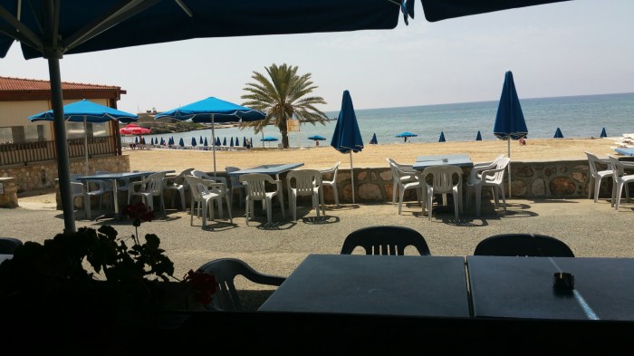 wp-1463953740566 image